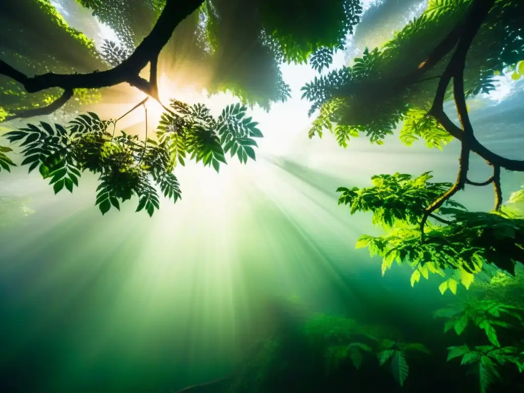 Bosque exuberante con rayos de sol filtrándose entre el dosel, resaltando la belleza y tranquilidad de la naturaleza