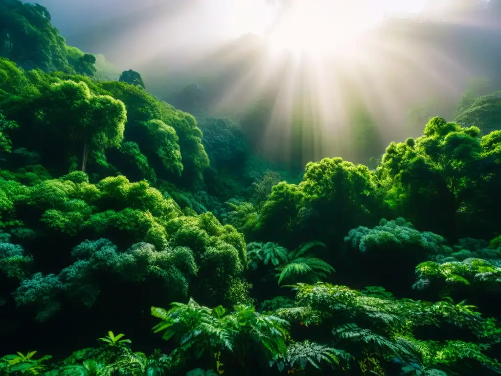 Bosque verde exuberante con rayos de sol filtrándose, reflejando la belleza natural de la marca cosmética sostenible ecológica